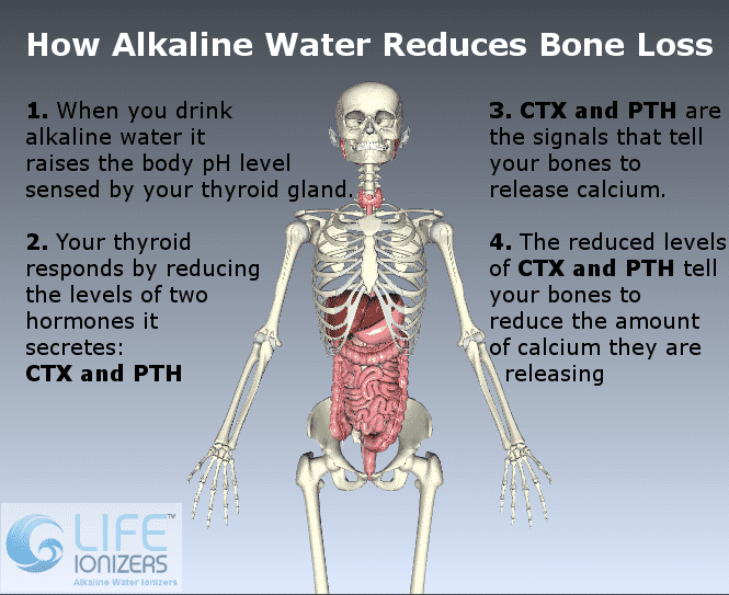 how alkaline water prevents bone loss infographic