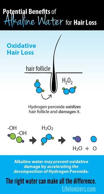 Potential Benefits of Alkaline Water for Hair Loss – Life Ionizers