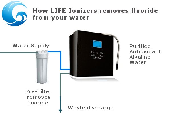 How Life Ionizers removes fluoride from water infographic