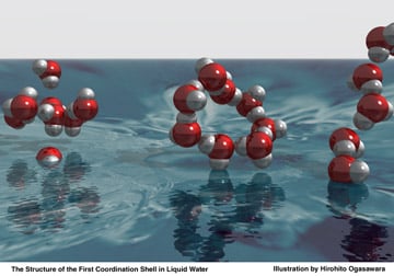 water molecule hydrogen bonding image