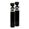 Double Dolphin Whole Home Filtration System