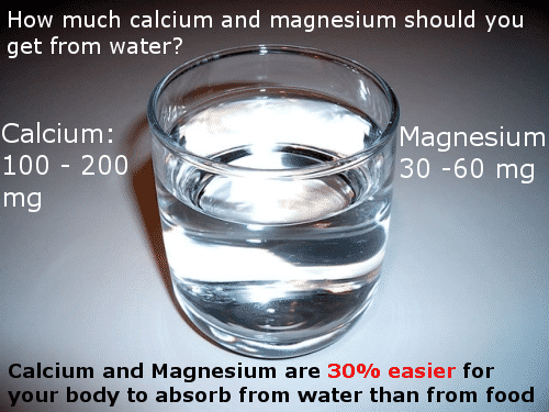 calcium and magnesium in alkaline water infographic