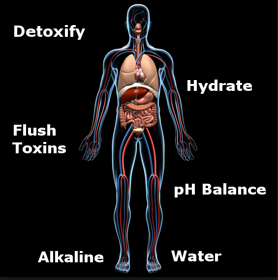 alkaline water detoxification infographic