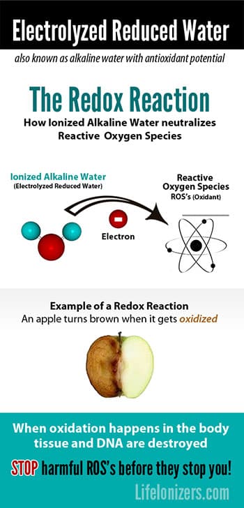 electrolyzed reduced water redox reaction infographic