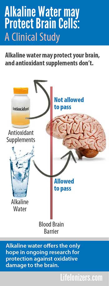 alkaline water may protect brain cells infographic