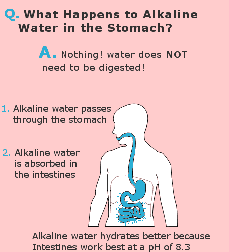 effect of alkaline water in the stomach infographic