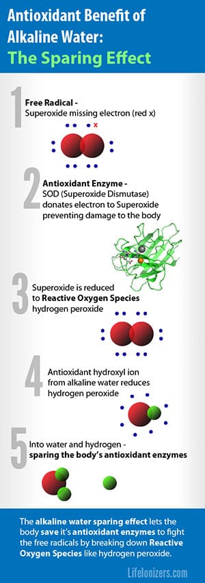 alkaline waters antioxidant sparing effect infographic