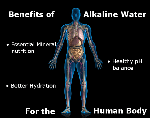 benefits of alkaline water for the human body infographic
