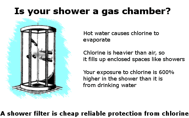chlorine in the shower danger infographic