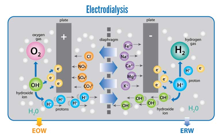 how-water-ionizer-works-electrodailysis-infographic