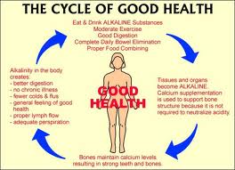 Alkaline Cycle of good health