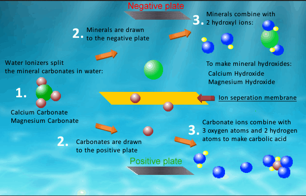 How an alkaline water ionizer works