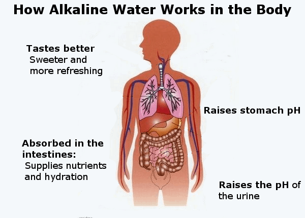 alkaline water in the body infographic