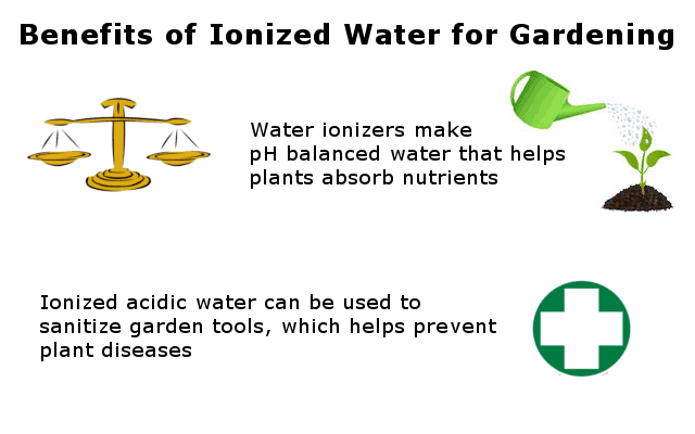 Why you need ionized water to water your plants infographic