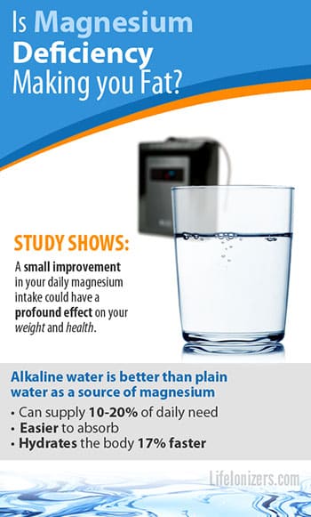 is-magnesium-deficiency-making-you-fat-infographic