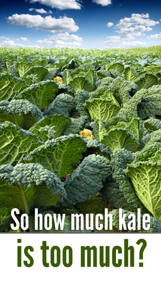 is kale bad for my thyroid image