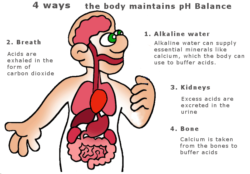 4 ways to maintain pH balance infographic